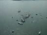 handycup_la_spezia_012