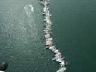 handycup_la_spezia_089